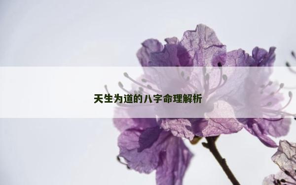 天生为道的八字命理解析