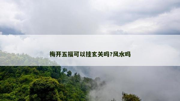 梅开五福可以挂玄关吗?风水吗