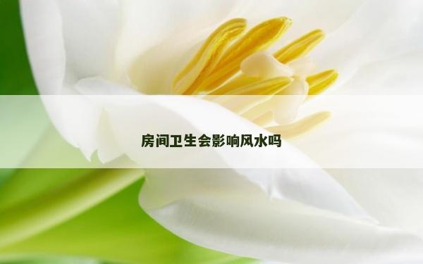 房间卫生会影响风水吗