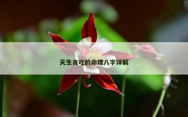 天生贪吃的命理八字详解