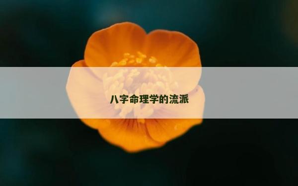 八字命理学的流派
