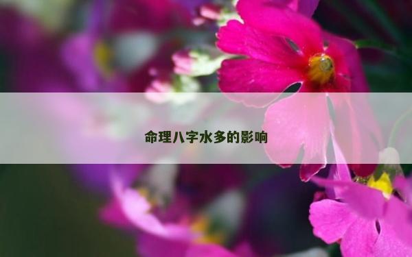 命理八字水多的影响