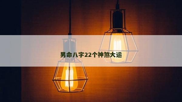 男命八字22个神煞大运