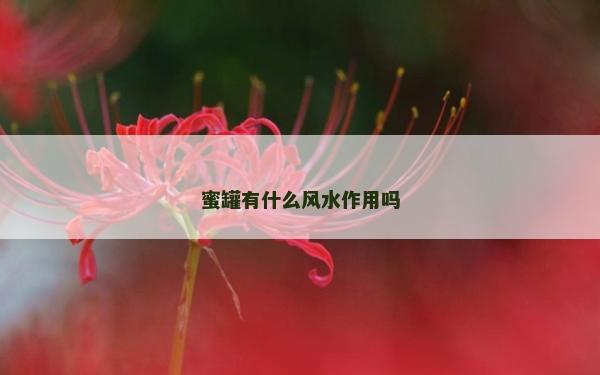 蜜罐有什么风水作用吗