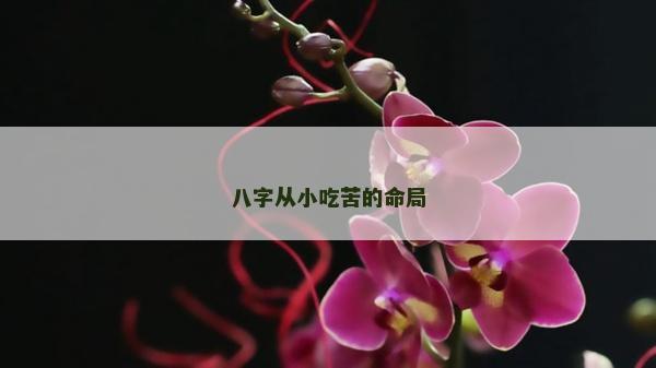八字从小吃苦的命局