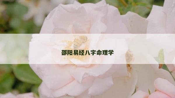 邵阳易经八字命理学
