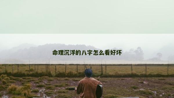 命理沉浮的八字怎么看好坏