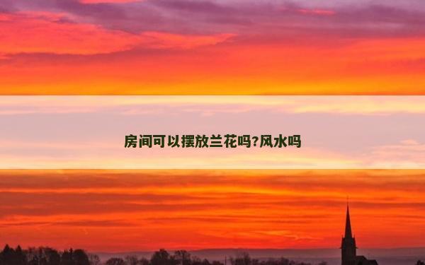 房间可以摆放兰花吗?风水吗