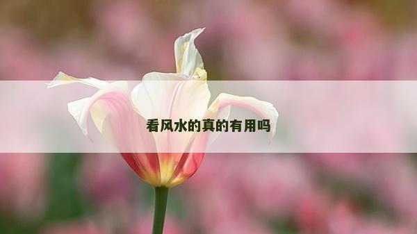 看风水的真的有用吗