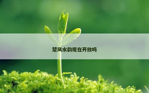 楚风水韵现在开放吗