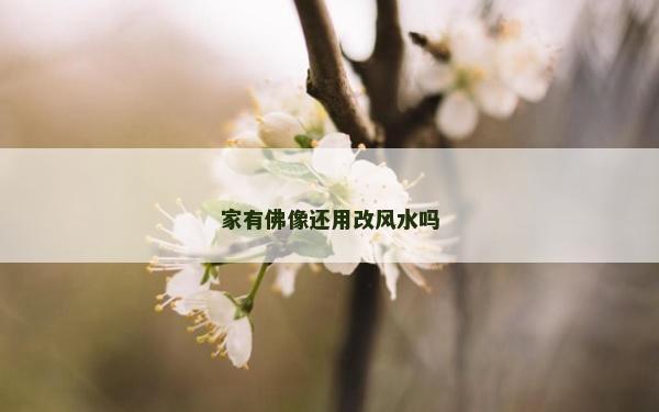 家有佛像还用改风水吗