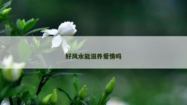 好风水能滋养爱情吗