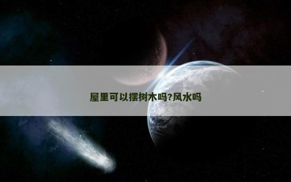 屋里可以摆树木吗?风水吗