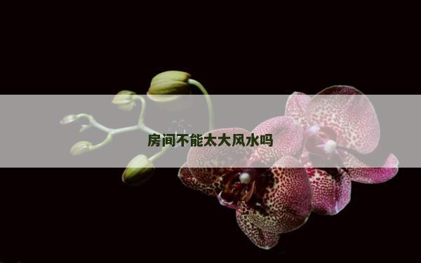 房间不能太大风水吗