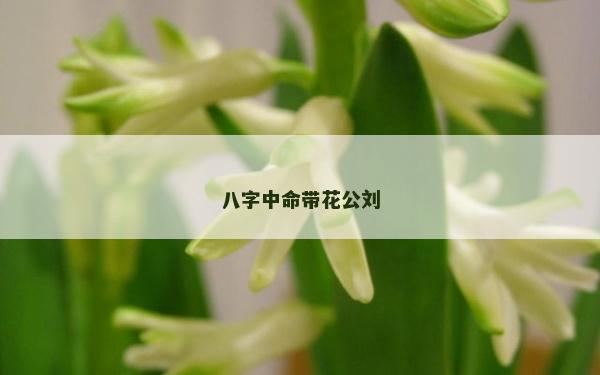 八字中命带花公刘