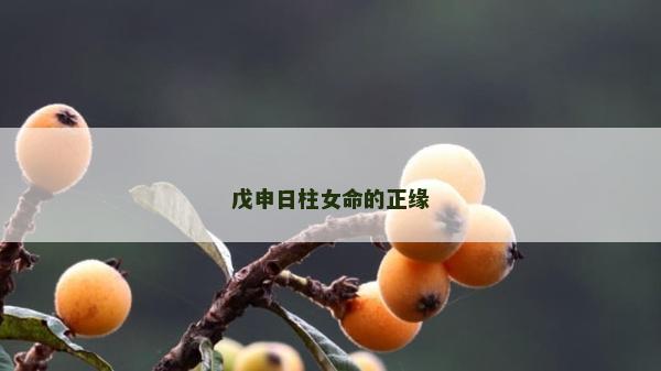 戊申日柱女命的正缘