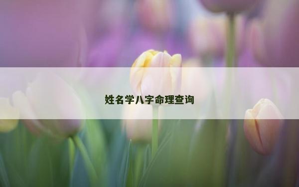 姓名学八字命理查询