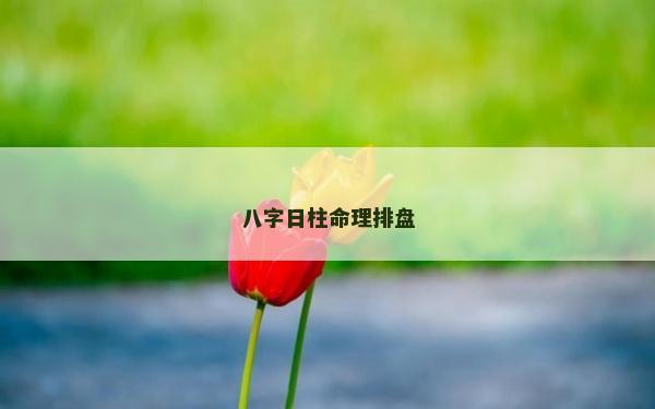 八字日柱命理排盘