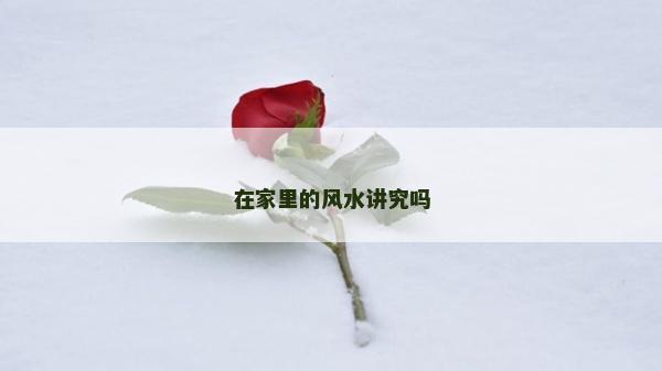 在家里的风水讲究吗