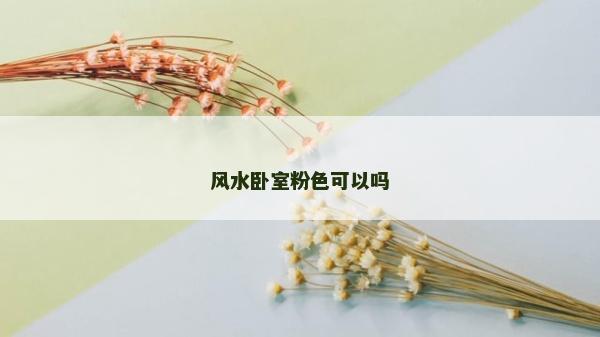 风水卧室粉色可以吗