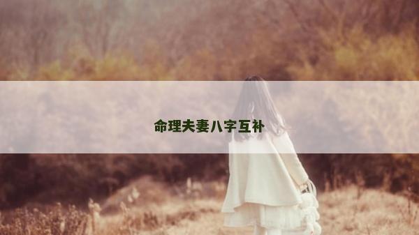 命理夫妻八字互补