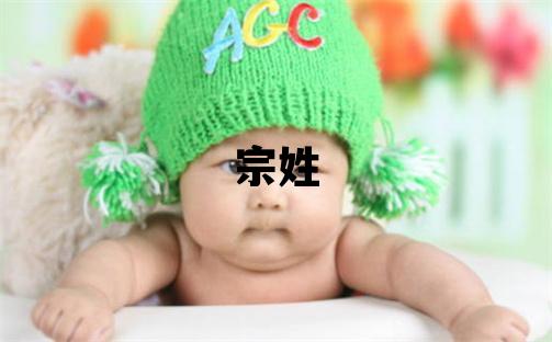 宗姓有灵气的女孩名字