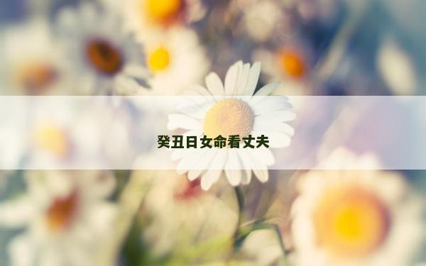癸丑日女命看丈夫