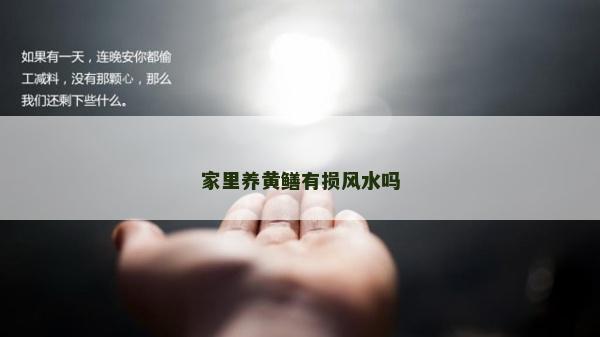 家里养黄鳝有损风水吗