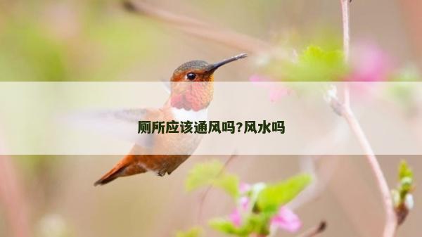 厕所应该通风吗?风水吗