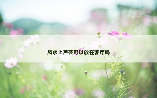 风水上芦荟可以放在客厅吗