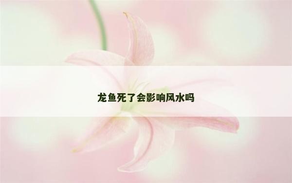 龙鱼死了会影响风水吗