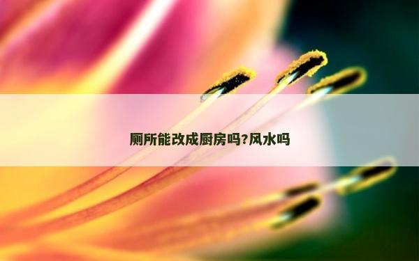 厕所能改成厨房吗?风水吗