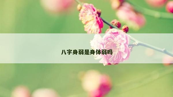 八字身弱是身体弱吗