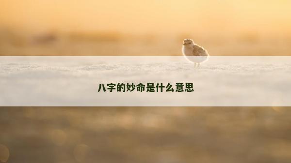 八字的妙命是什么意思
