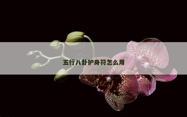 五行八卦护身符怎么用