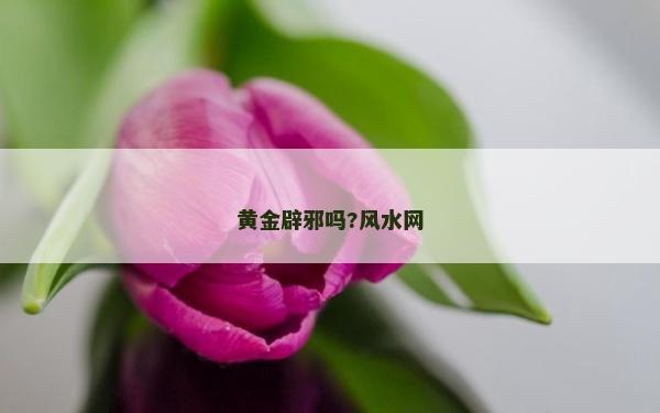 黄金辟邪吗?风水网