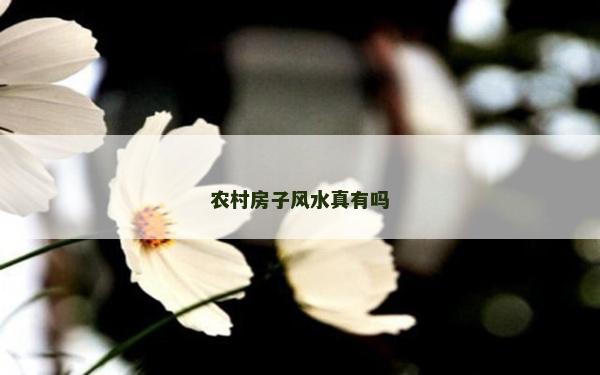 农村房子风水真有吗
