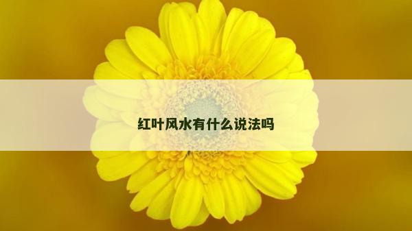 红叶风水有什么说法吗