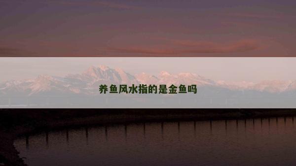 养鱼风水指的是金鱼吗