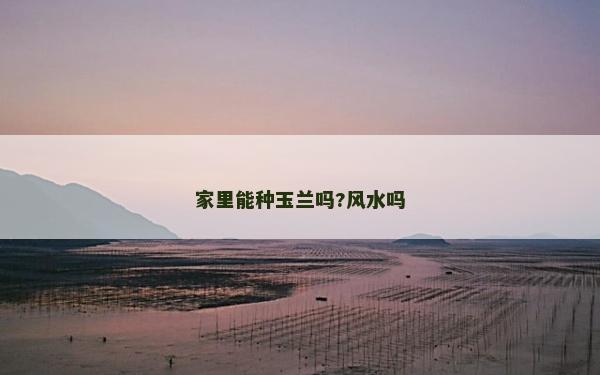 家里能种玉兰吗?风水吗
