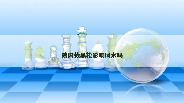 院内栽黑松影响风水吗