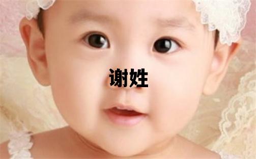 谢姓吉利的男孩名字,取什么名字好
