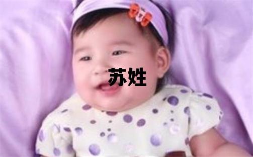 苏姓取名有新意的男宝宝名字