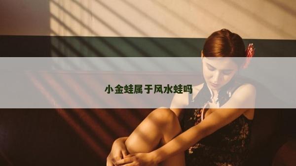 小金蛙属于风水蛙吗