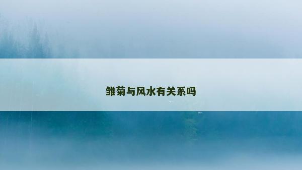 雏菊与风水有关系吗