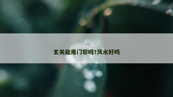 玄关能用门帘吗?风水好吗