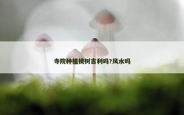 寺院种植桃树吉利吗?风水吗