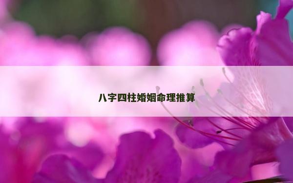 八字四柱婚姻命理推算