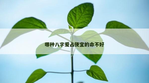 哪种八字爱占便宜的命不好