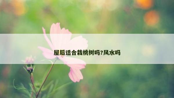 屋后适合栽桃树吗?风水吗